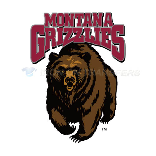 Montana Grizzlies Logo T-shirts Iron On Transfers N5174 - Click Image to Close